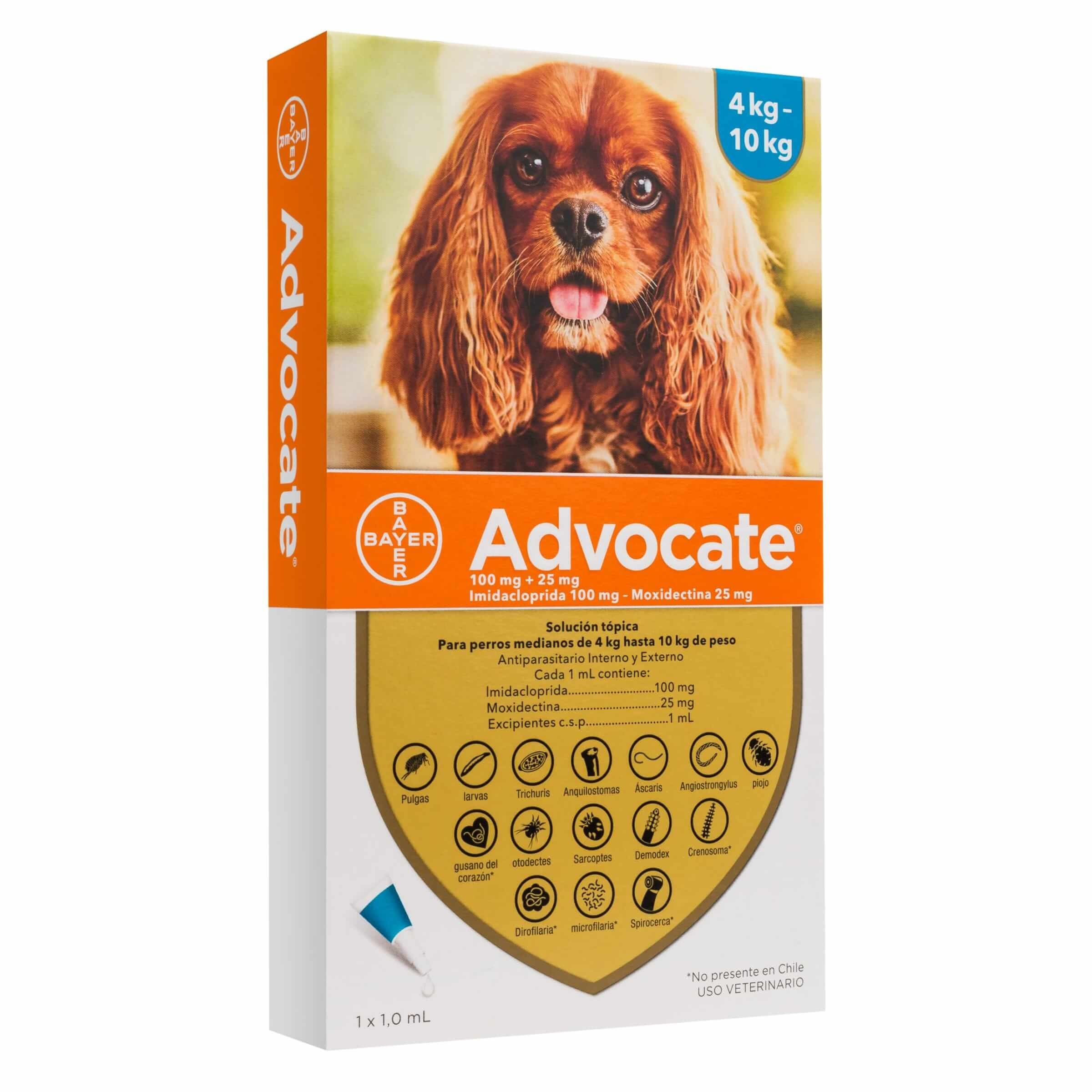 advocate