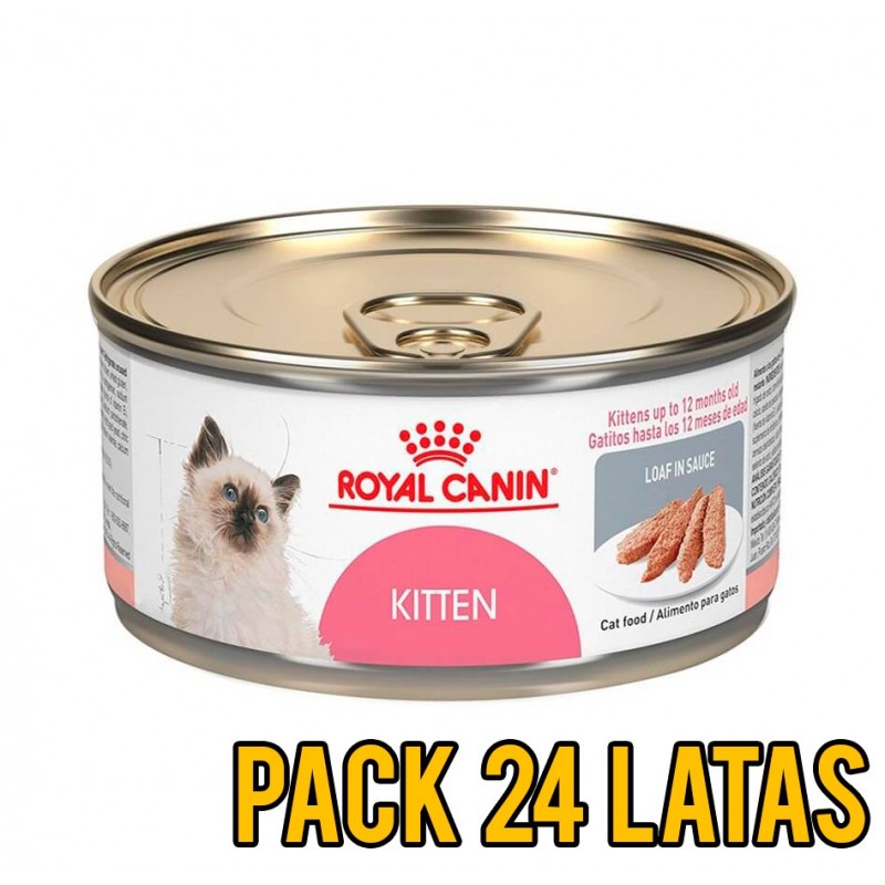 Pack 24 Latas Royal Canin Kitten felino
