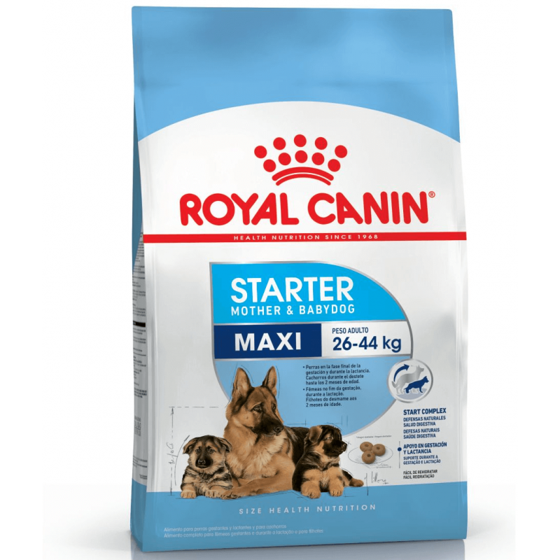 Royal Canin Maxi Starter 10kg