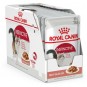 Pack 12 Pouch Royal Canin Instinctive
