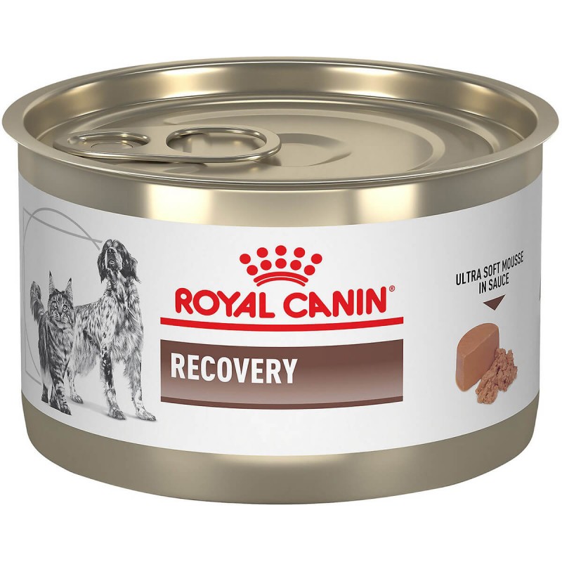 Royal Canin Recovery Lata 145g