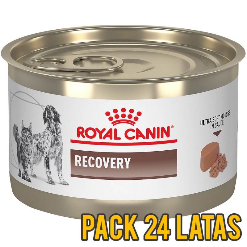 Pack 24 latas Royal Canin Recovery