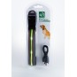 Collar USB con Luz LED para Perro