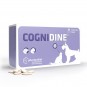 Cognidine 60 Comprimidos