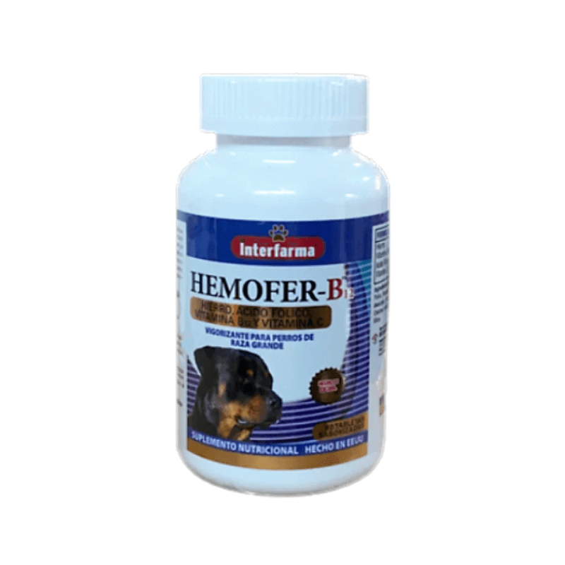Hemofer B12 - 60 comprimidos