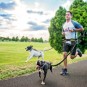 Kit de running para perros
