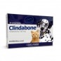 Clindabone 165mg Comprimidos
