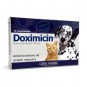 Doximicin 100mg Comprimidos