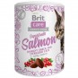 Brit Cat Snack Superfruits Salmon 100g